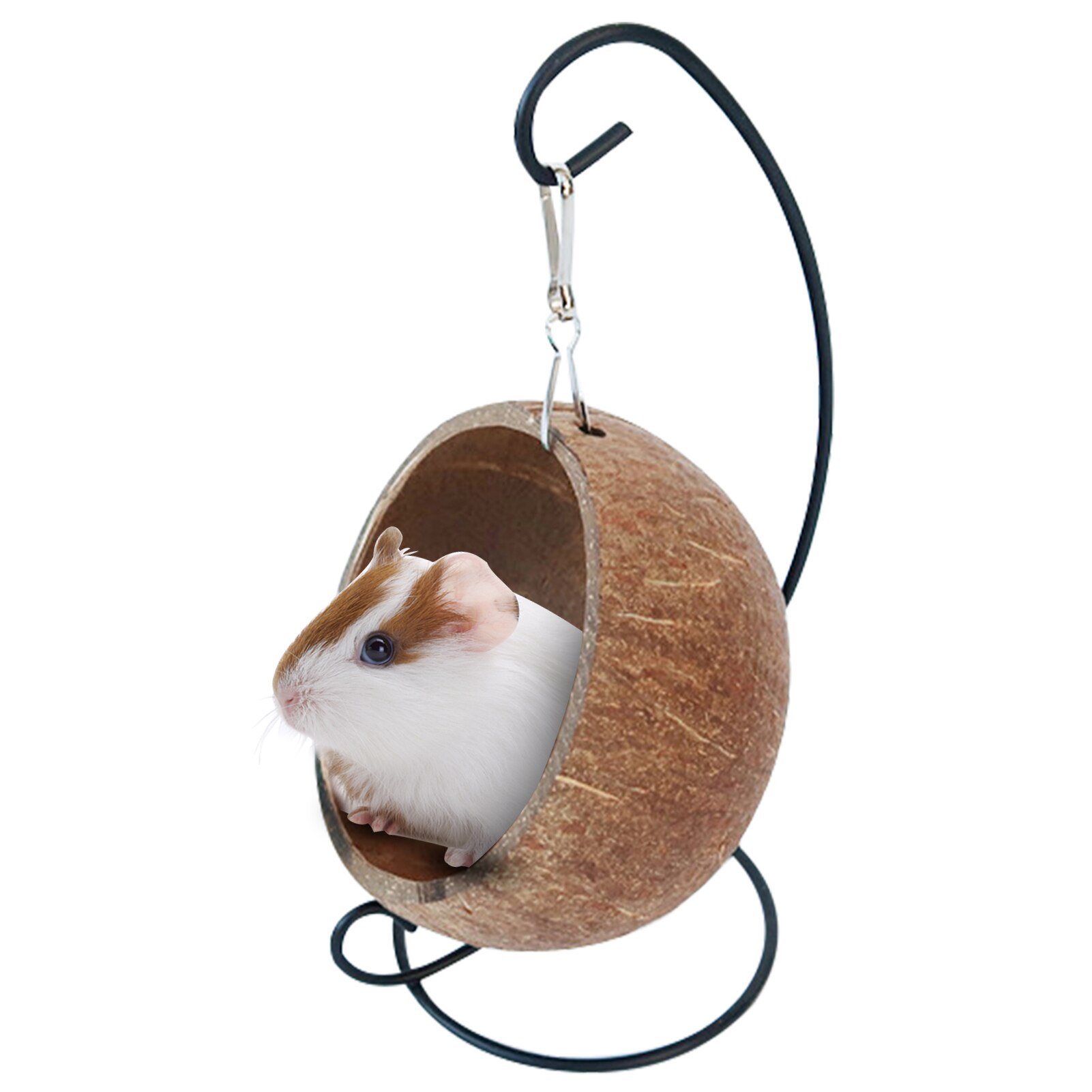 ܽ ó õ ڳ ܽ ó ظ    ڳ ó  , ֿϵ  